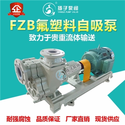 FZB型耐腐蚀自吸泵衬氟自吸泵化工自吸泵