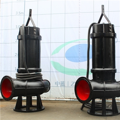 WQ潜水排污泵 专业水泵生产厂家