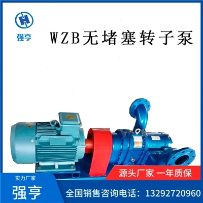 WZB无堵塞转子泵