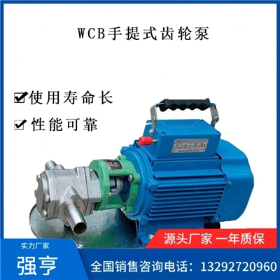 WCB微型手提式齿轮泵