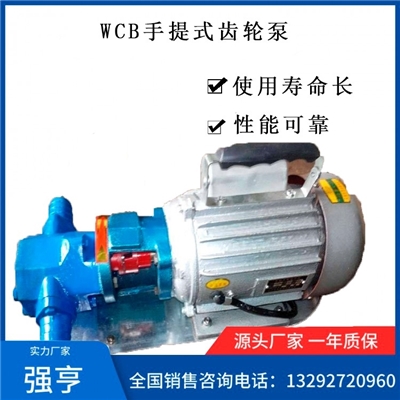 WCB微型手提式齿轮泵