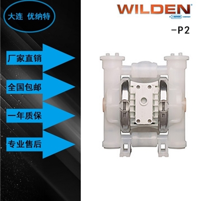 WILDEN威尔顿气动隔膜泵P2-1''（25mm）