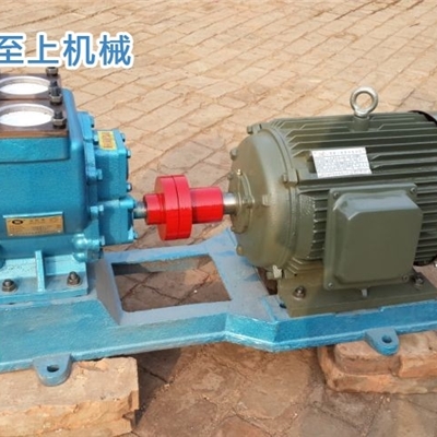 YHCB圆弧齿轮泵 柴油卸车泵厂家直销质优价廉