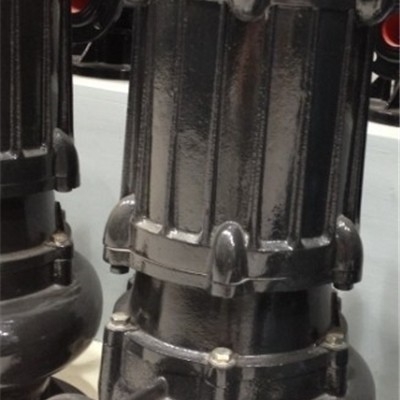 wq40-7-18-1.1 定制耐高温不锈钢污水泵 水泵直销