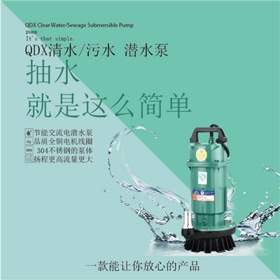 QDX小型清水潜水泵