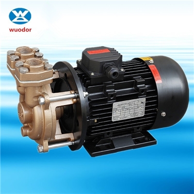 WD热水加压泵热油循环泵