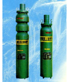 QS型充水湿式多级潜水泵
