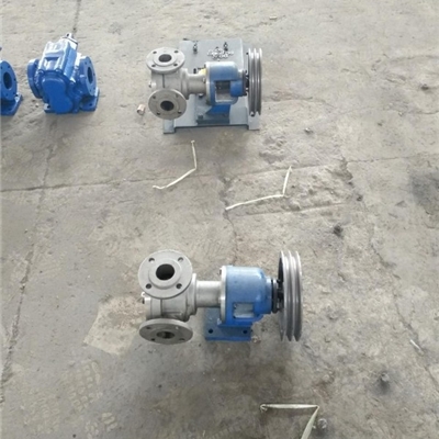 沧州宏润泵业现货NCB-6/0.5高粘度转子泵-蜜糖泵