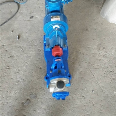 小流量1立方高粘度泵-宏润泵业NCB-0.7型高粘度转子泵