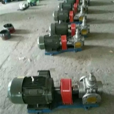 深圳发货YCB-30/0.6型不锈钢圆弧齿轮泵-耐腐蚀油泵