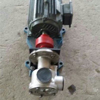 宏润牌小流量转子泵-产品型号NCB-1.2/0.3型高粘度内齿泵