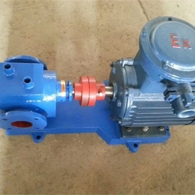 宏润牌沥青保温泵厂家-型号RCB-58/0.8型沥青泵-高温300度齿轮泵