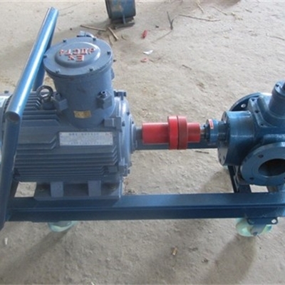 沧宏润YCB-60/0.6型圆弧齿轮泵-316L材质不锈钢齿轮泵