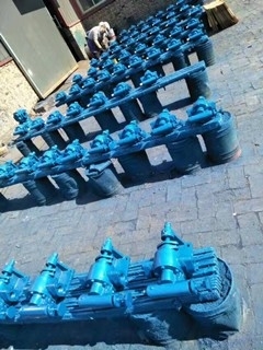 沧宏润齿轮式沥青泵-CLB-50型沥青齿轮泵-喷洒沥青泵