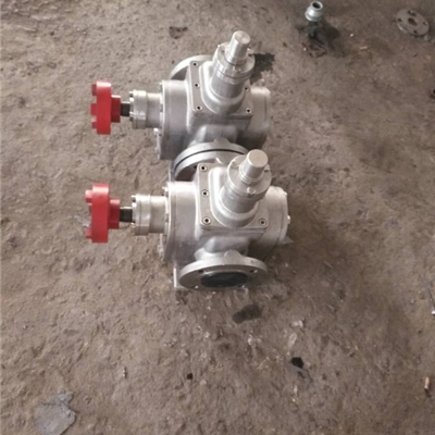 304材质齿轮泵供应商-宏润油泵YCB-30/0.6型不锈钢圆弧齿轮泵