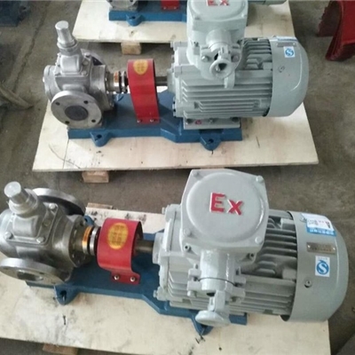 304材质齿轮泵供应商-宏润油泵YCB-30/0.6型不锈钢圆弧齿轮泵