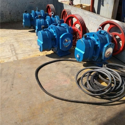 304材质LC-38/0.6型罗茨泵-沧州宏润泵业有限公司