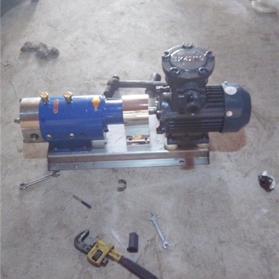 宏润牌热豆浆泵-流量参数TLB-5/0.6型不锈钢凸轮泵