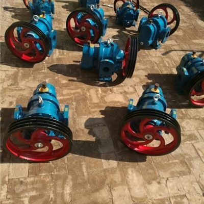 沧州宏润泵业供应LC-10/0.6型罗茨泵-每小时10立方高粘度泵