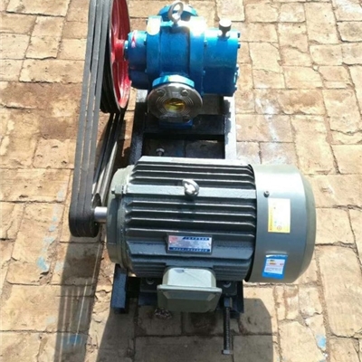 宏润泵业-每小时100立方LC-100/0.6型罗茨泵-粮油厂订购