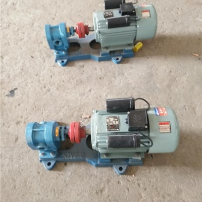 品牌宏润泵业-产品规格2CY-3/2.5型高压齿轮泵