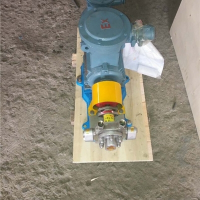 沧州宏润泵业有限公司供应不锈钢豆浆泵KCB-55型不锈钢齿轮泵