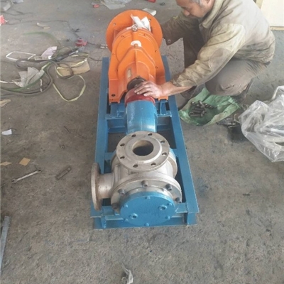沧州宏润泵有限公司-玻璃胶厂订购NYP-30/1.0型不锈钢高粘度转子泵