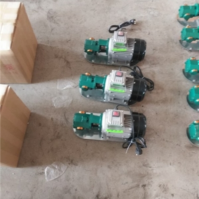 宏润泵业供应WCB-50型便携式齿轮泵-220V手提式输油泵