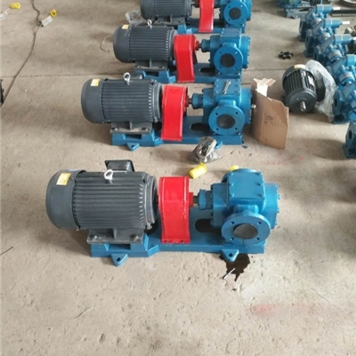 产品质保一年CHY-18/0.6型齿轮泵-电厂专用齿轮油泵