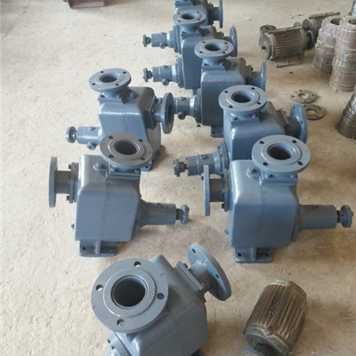 沧州高粘度转子泵厂家-宏润25CYZ-27型自吸式防爆油泵
