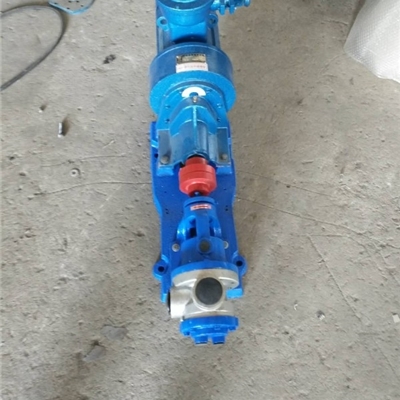 沧州宏润面糊泵-产品现货HR-0.3型不锈钢食品泵