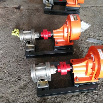 宏润高压齿轮泵厂家-不锈钢食品泵2CY-3/2.5型齿轮泵