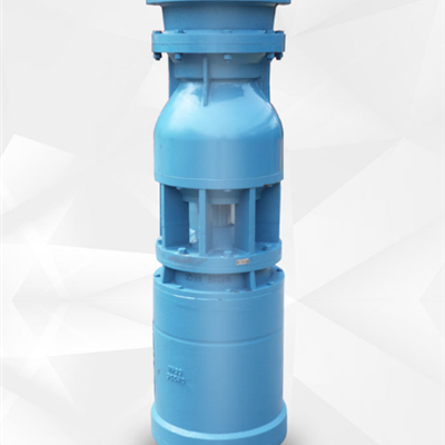 厂家直销 立式中吸型潜水轴流泵 排涝防汛轴流泵城市建设用泵