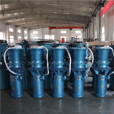 江苏农田灌溉小功率350QZB潜水轴流泵生产厂家