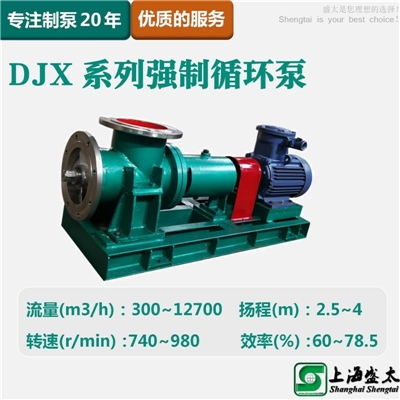 DJX强制循环泵