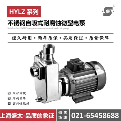 HYLZ不锈钢自吸式耐腐蚀微型电泵