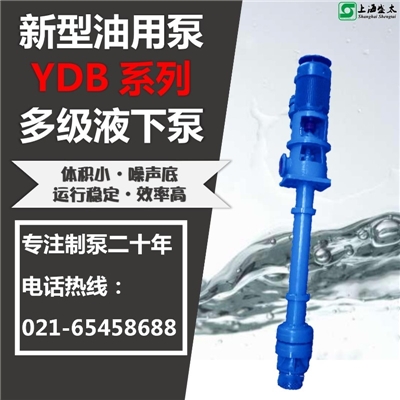 YDB多级液下泵盛太水环