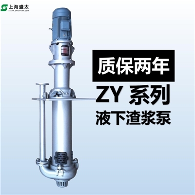 ZY离心式液下渣浆泵单级双吸立式单壳体渣浆泵