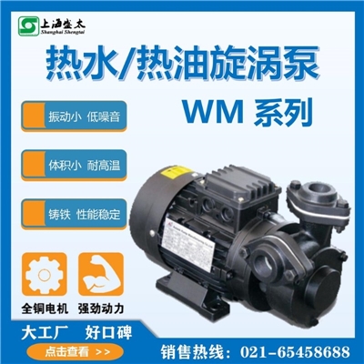 WM热水热油旋涡泵