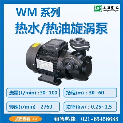 WM热水热油旋涡泵