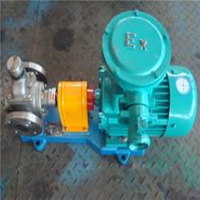 华潮YCB3.3-1.6不锈钢圆弧齿轮泵 圆弧齿轮泵
