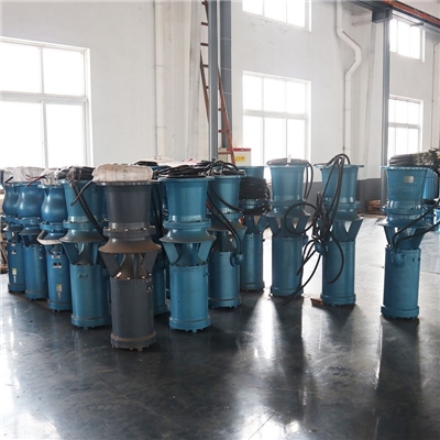 立式轴流泵-中吸式轴流泵-天津潜水泵厂家