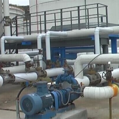 旋转凸轮泵,旋转活塞泵,凸轮转子泵,污油水回收泵,污油水提升泵,油气混输泵