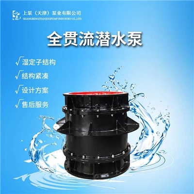 湖南水泵站全贯流电泵生产厂家上泵（天津）