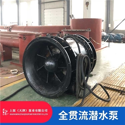 湖南水泵站全贯流电泵生产厂家上泵（天津）