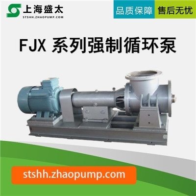 FJX强制循环泵
