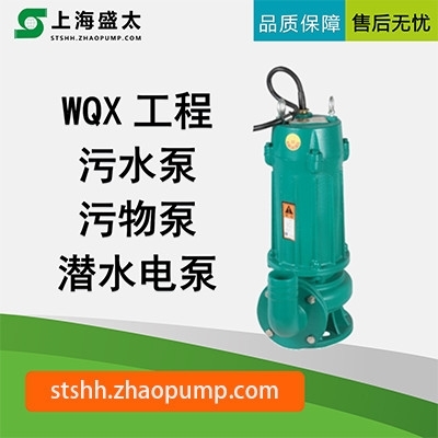 WQX工程污水污物潜水电泵