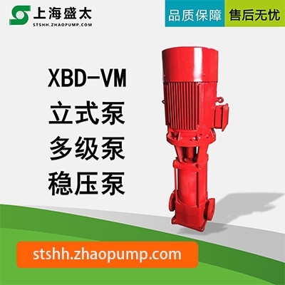 XBD-VM立式多级稳压泵盛太水环