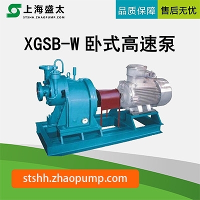 XGSB-W卧式高速泵盛太水环