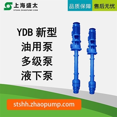 YDB多级液下泵盛太水环